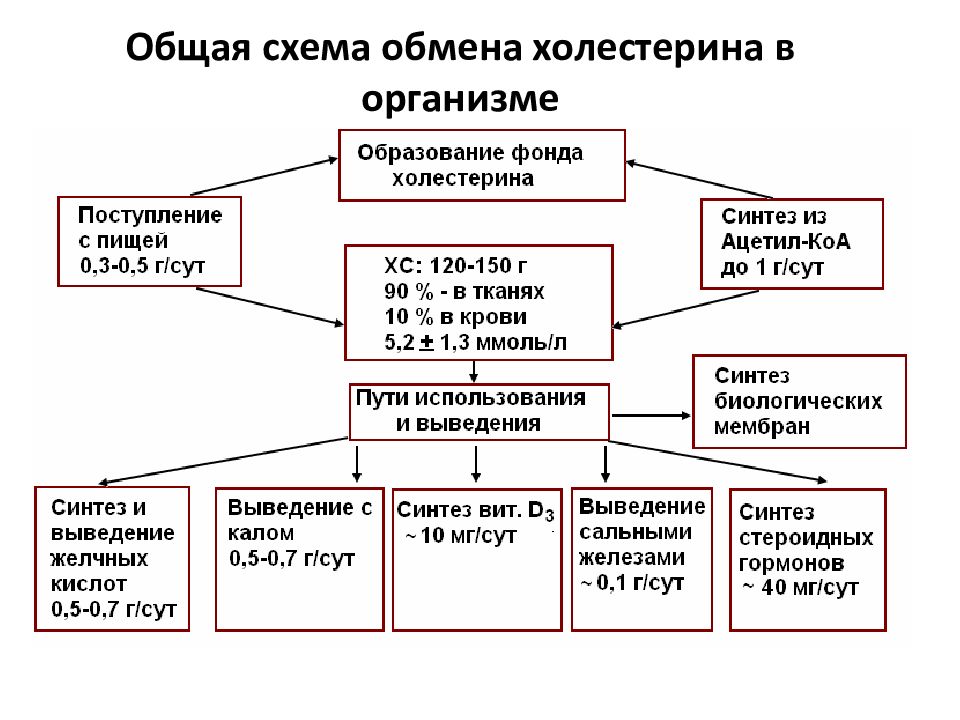 Образования в органах человека. Схема обмена холестерина в организме человека. Пути утилизации холестерина в организме биохимия. Схема путей утилизации холестерола. Пути использования холестерола в организме схема.