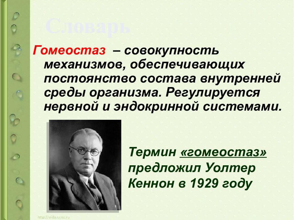 Динамическое постоянство внутренней среды организма