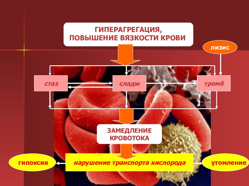 Mpa s вязкость. средства, влияющие на вязкость крови. вязкость магматических расплавов зависимость вязкости от. – зависимость структурной вязкости от давления. вязкость крови.