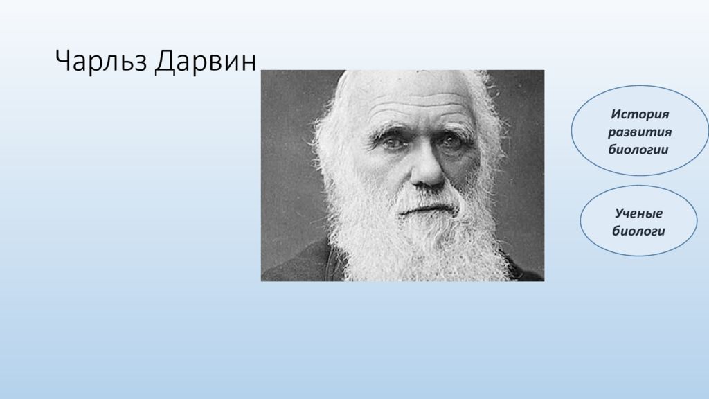 История биологии ученые. Чарльз Дарвин биология. Чарльз Дарвин фото. Труды Дарвина. Ч Дарвин портрет.