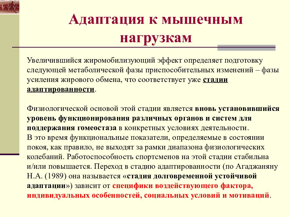 Подготовка следующий. Адаптация к мышечным нагрузкам. Анатомо-физиологические основы мышечной деятельности. Биохимические основы адаптации к мышечной деятельности.. Анкета адаптация мышечной.