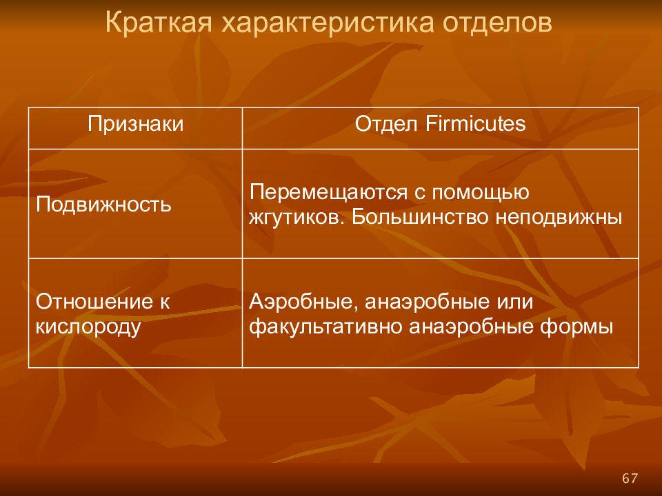 Отношение к кислороду. Отдел фирмикутес. Признаки отделов. Отдел фирмикутес классы. Отношение к кислороду аэробные спора это.