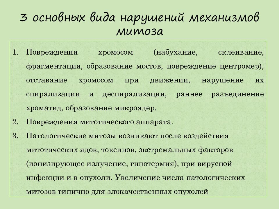 3 основных вида нарушений механизмов митоза
