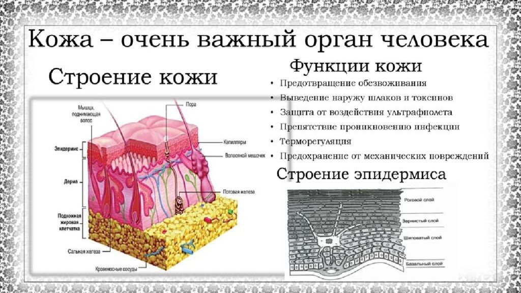 Практическое занятие т ема занятия: «ТЕХНОЛОГИЯ ЛЕЧЕБНО-КОСМЕТИЧЕСКИХ СРЕДСТВ»