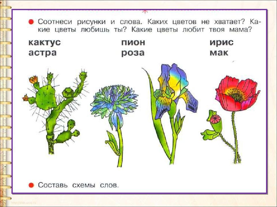 Буква з презентация 1