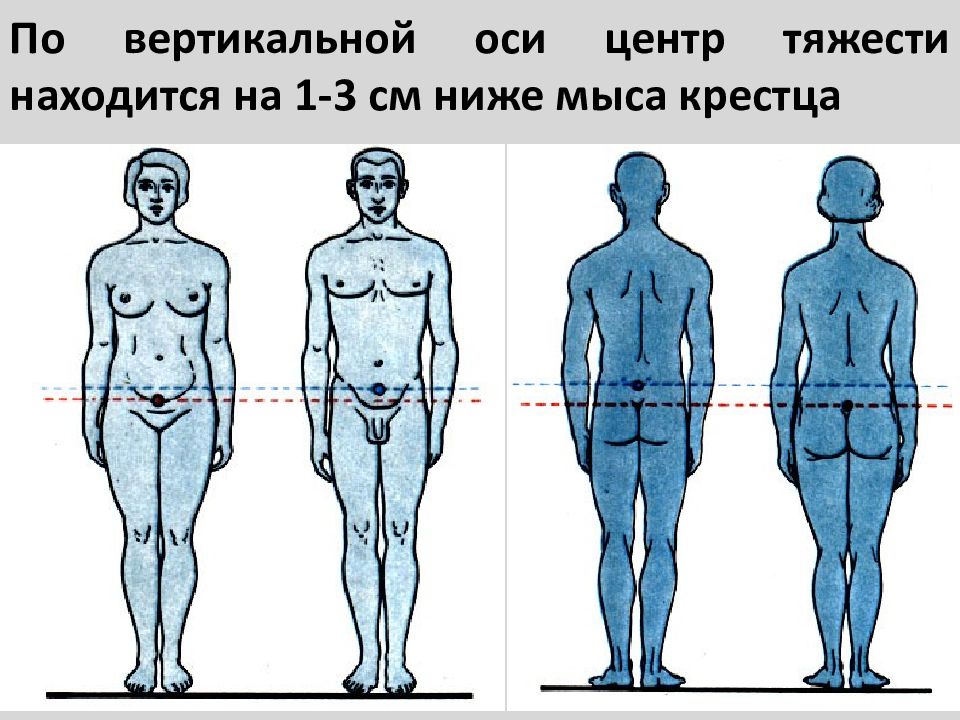 Тяжко находиться. Защиту головы, шеи, туловища и конечностей. Схема. Соответствие головы и торса. До скольки лет растут ноги и торса.