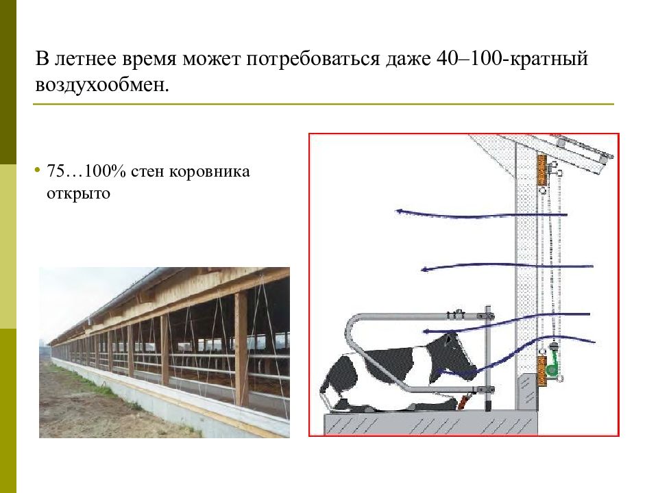 Содержание животных 6 класс технология презентация