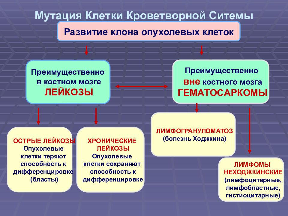 Мутация клеток. Мутация клеток костного мозга. Мутация кроветворной клетки. Мутация кроветворной клетки при остром лейкозе. Хронический лейкоз мутация.