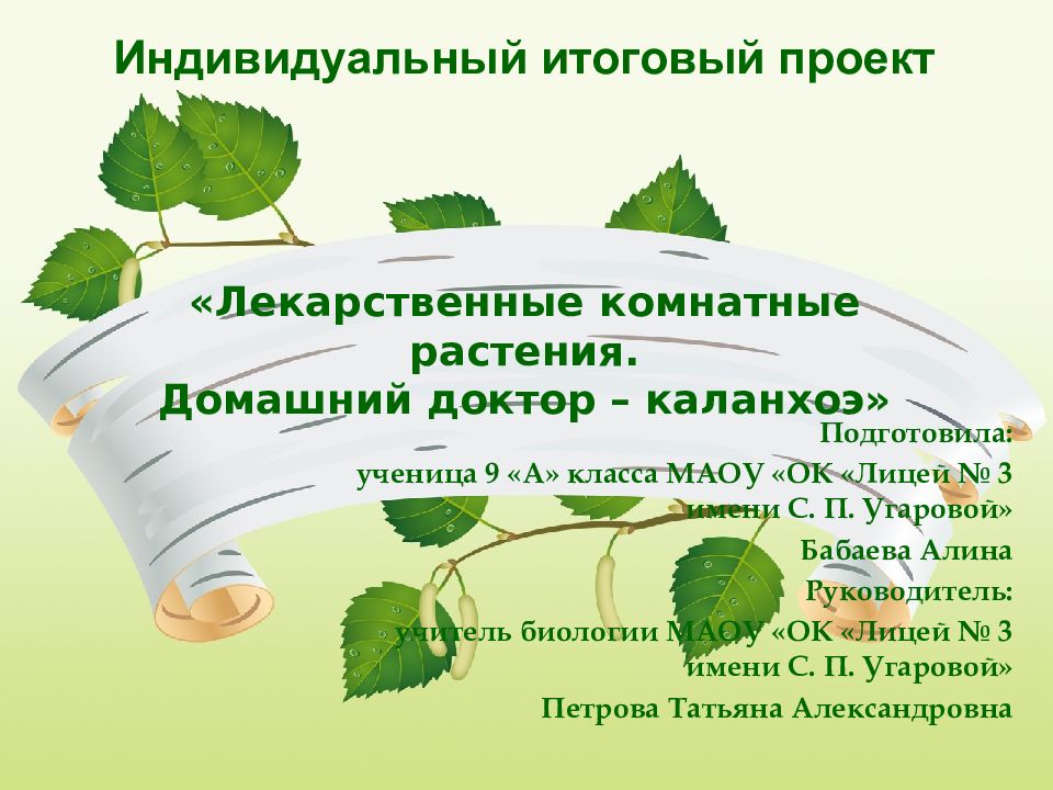 «Лекарственные комнатные растения. Домашний доктор – каланхоэ »