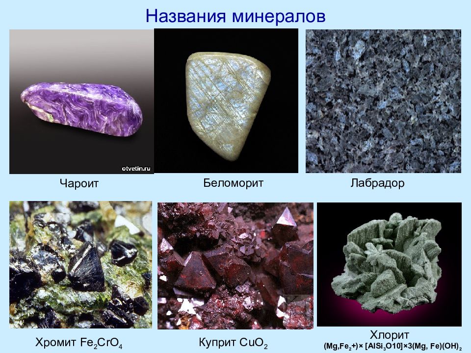 Минерал 5 букв сканворд. Минералы с названиями. Состав минералов. Что называется минералами. Минерал с названием животного.