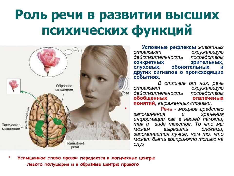 Презентация на тему речь по биологии 8 класс