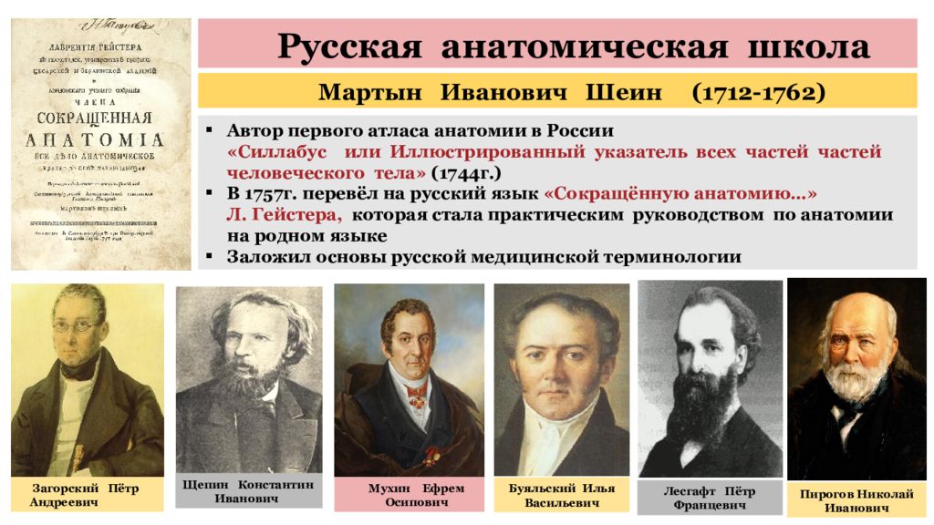 Анатомия русский язык. Первая анатомическая школа в России. Первый русский анатом. Медицина нового времени (1640 - 1917). Первая научная школа анатомов в России.