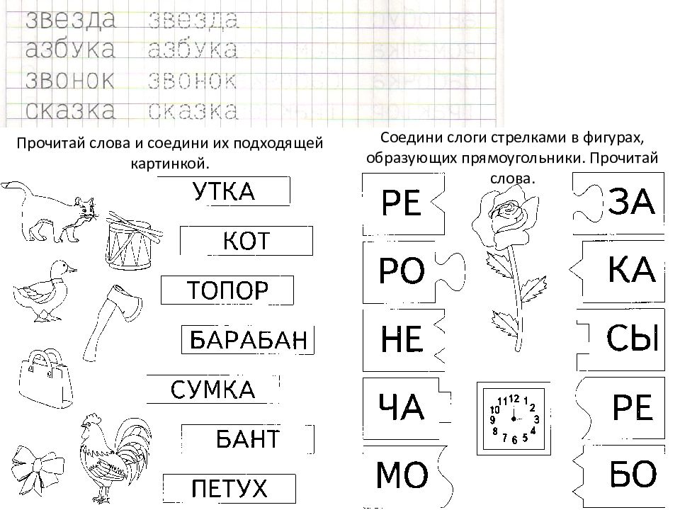 Читаем слова соединяем с картинкой