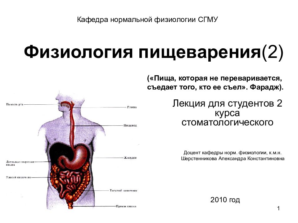 Физиология пищеварения презентация