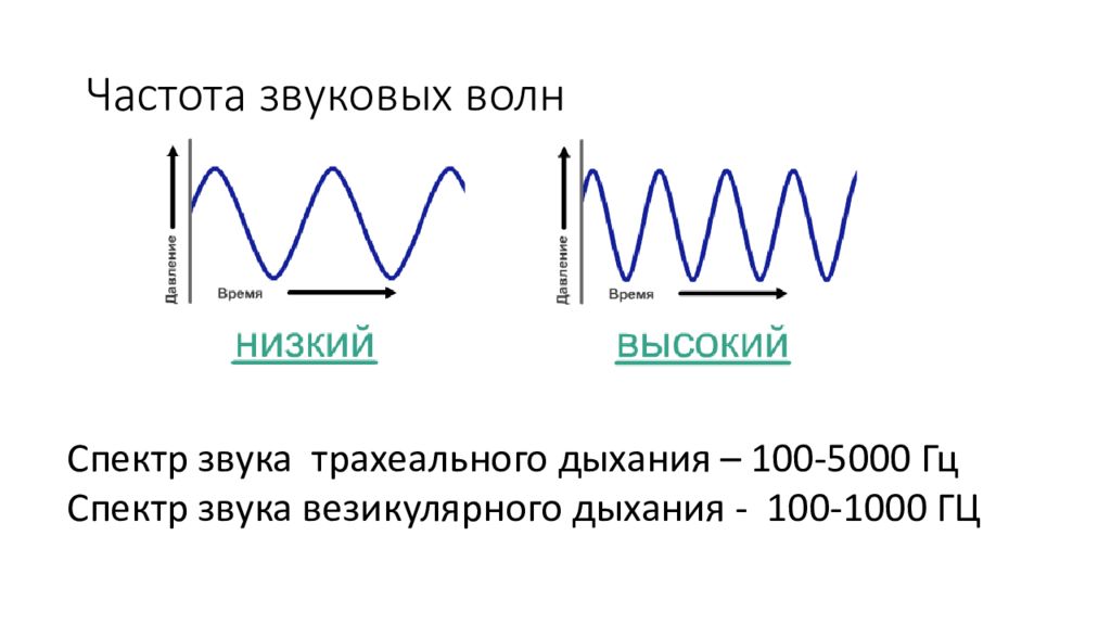 Частота звуковой волны воспринимаемая человеком. Частотный диапазон акустических волн. Спектр частот акустических волн. Частота звуковой волны. Низкочастотная звуковая волна.