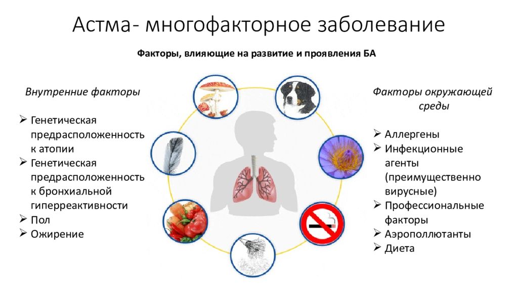 Сайт астм. Факторы развития бронхиальной астмы. Генетические факторы бронхиальной астмы. Генетические факторы риска бронхиальной астмы. Внутрениефакторы бронхиальной астмы.