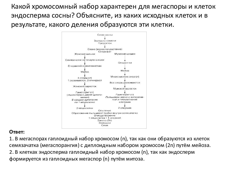 Циклы развития государства