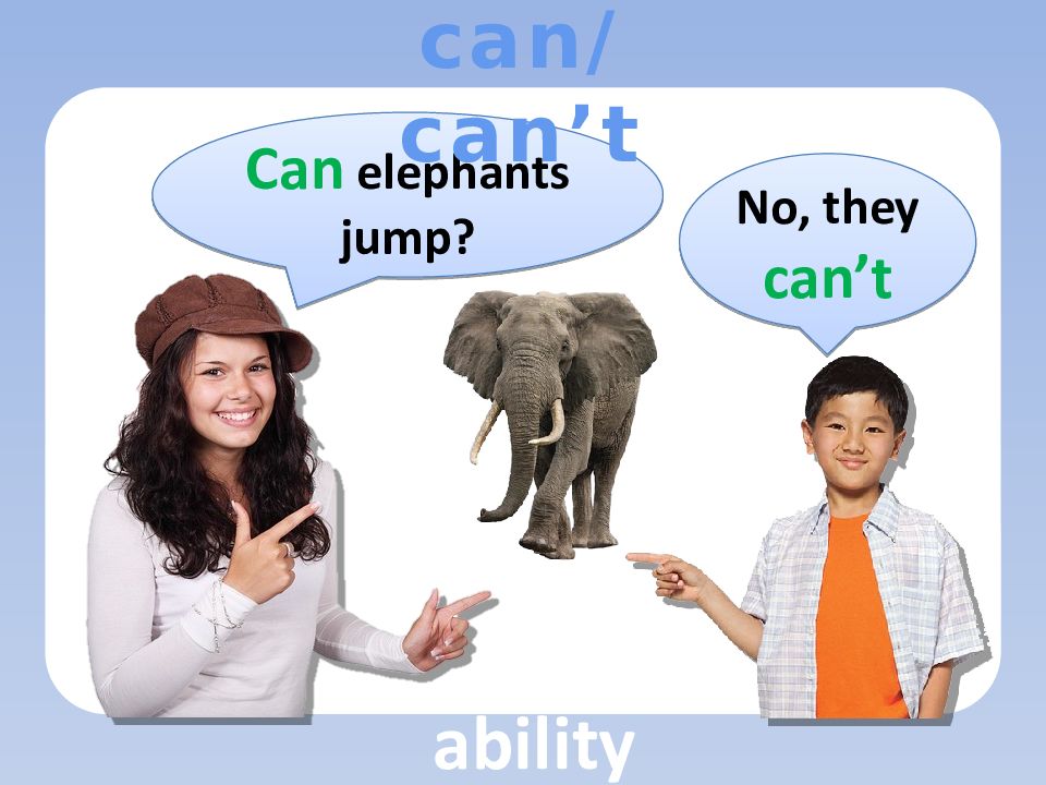 Can an elephant jump