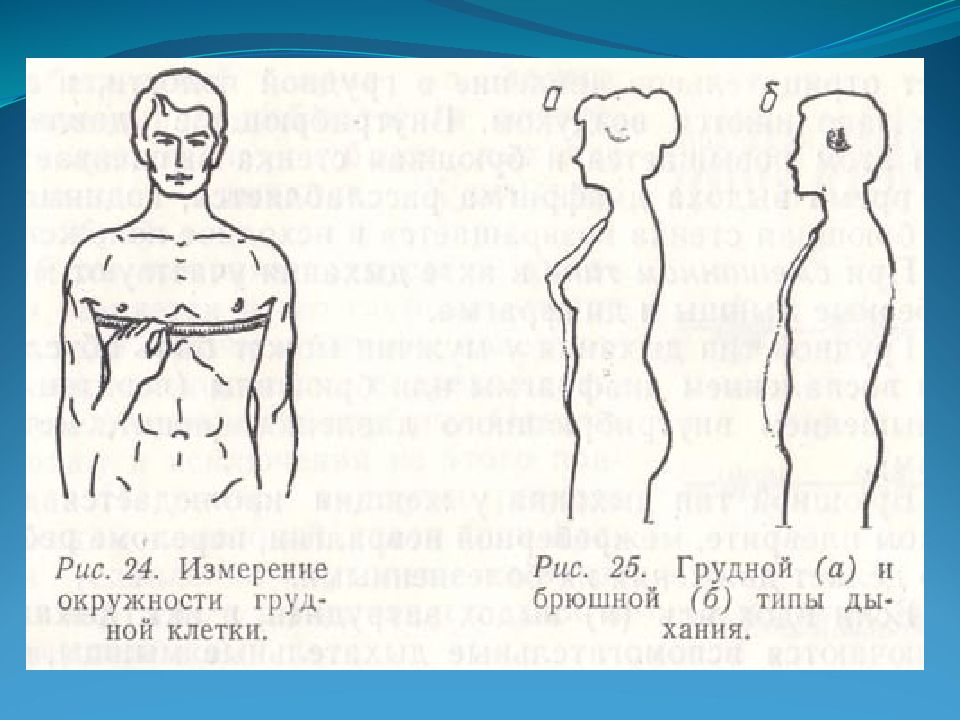 Объем грудной клетки. Экскурсия грудной клетки норма. Дыхательная экскурсия грудной клетки в норме. Дыхательная экскурсия грудной клетки в норме у мужчин. Измерение экскурсии грудной клетки.