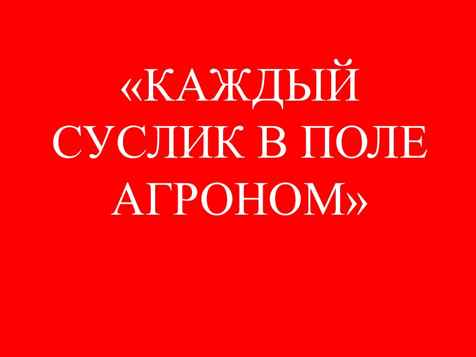 Каждый суслик в поле агроном картинки