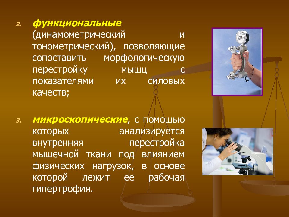 Спортивная морфология. Противоэпидемические мероприятия в эпидемическом очаге. Мероприятия в очаге инфекции. Мероприятия в эпидемиологическом очаге. Эпид мероприятия в очаге инфекции.