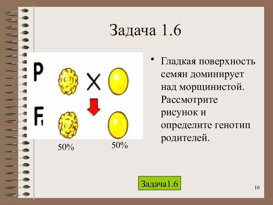 Генотипы гороха с желтыми семенами. Задачи по генетике с иллюстрациями. Задачи по генетике про горох. Задачи по биологии на генетику про горох. Задание по генетике с рисунком.