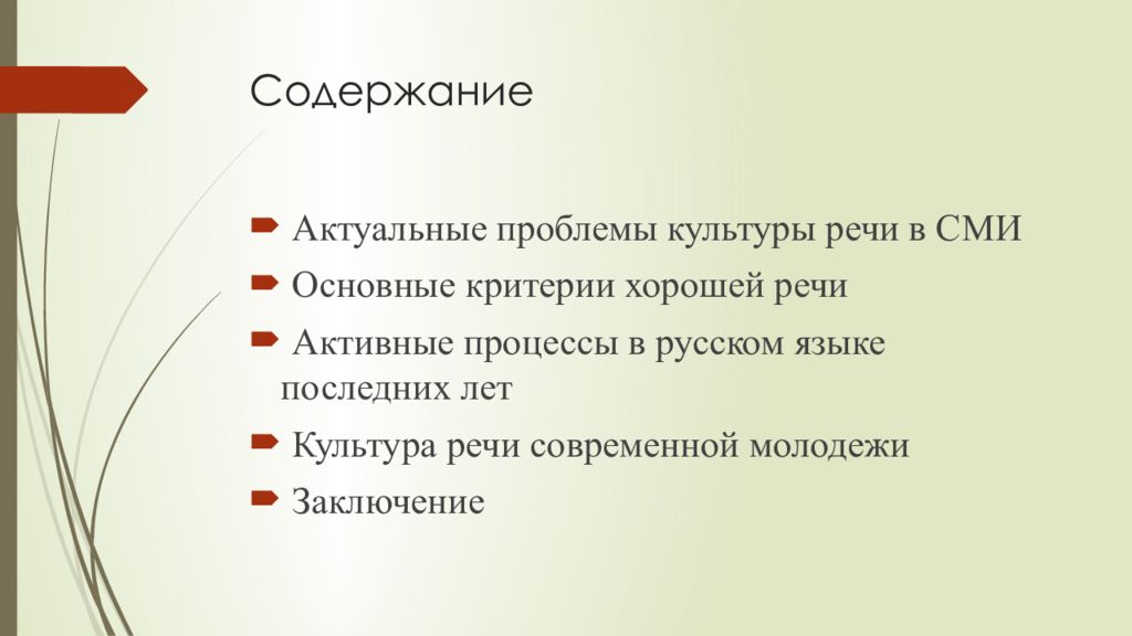 Проблемы языковой культуры в современном российском обществе