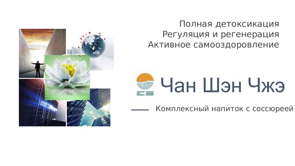 Чан Шэн Чжэ Комплексный напиток с соссюреей Полная детоксикация Регуляция и