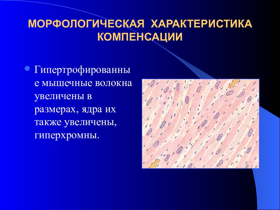 Пятидесяти морфологический. Регенерация организация склероз. Физиологическая атрофия. Понятие о склерозе и циррозе.