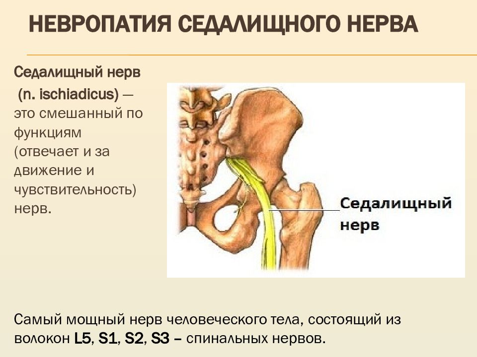 Поражение периферических нервов презентация