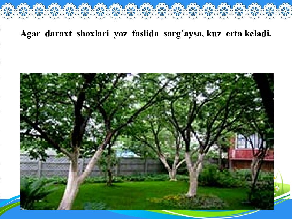 Agar daraxt shoxlari yoz faslida sarg’aysa, kuz erta keladi.