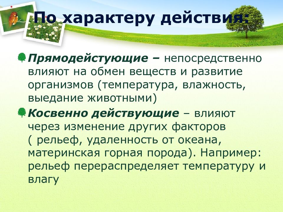 Гидрантами когда изображения закончатся нажмите подтвердить