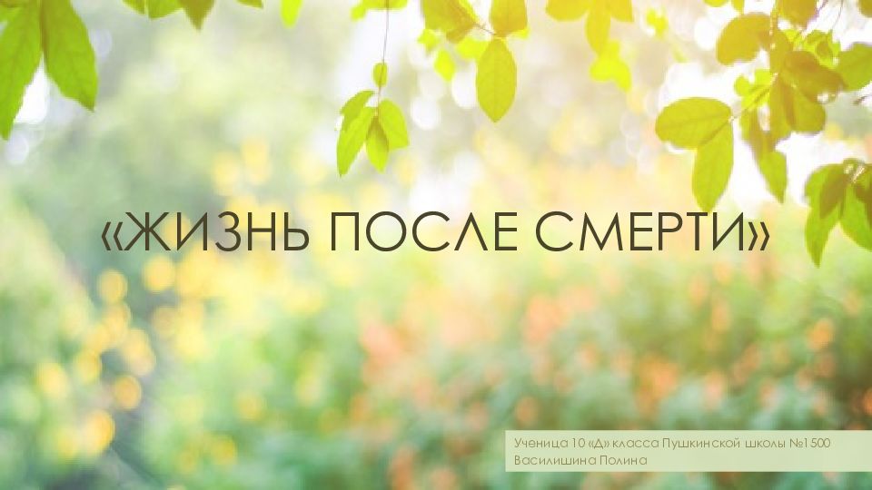 Жизнь после смерти презентация