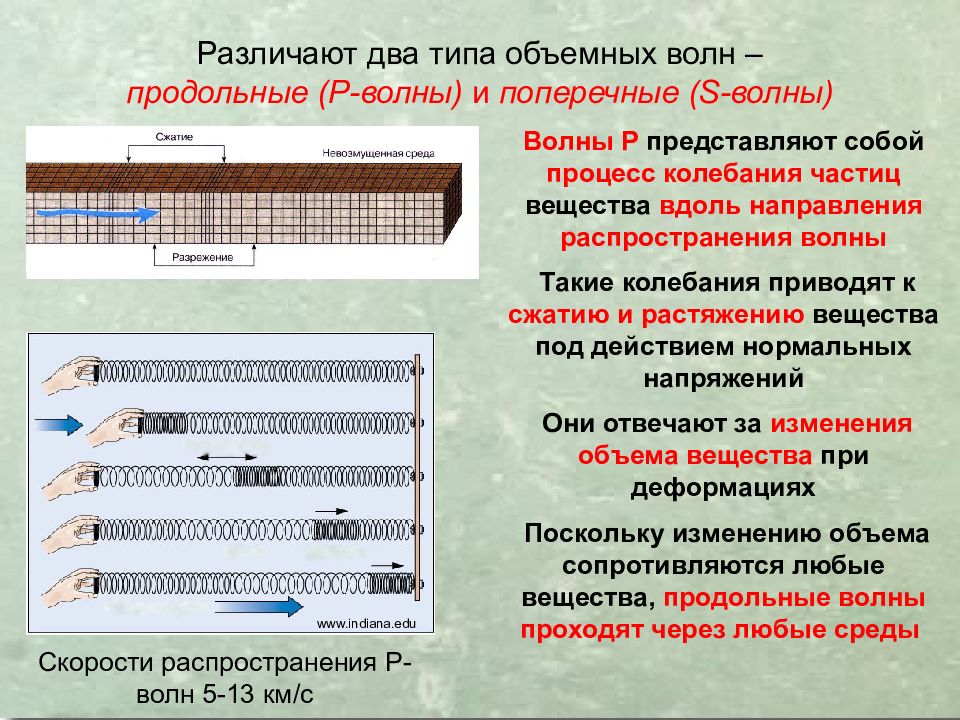 Продольные и поперечные волны. Типы волн продольные и поперечные. Виды волн поперечные и продольные таблица. Продольные и поперечные волны при землетрясениях.