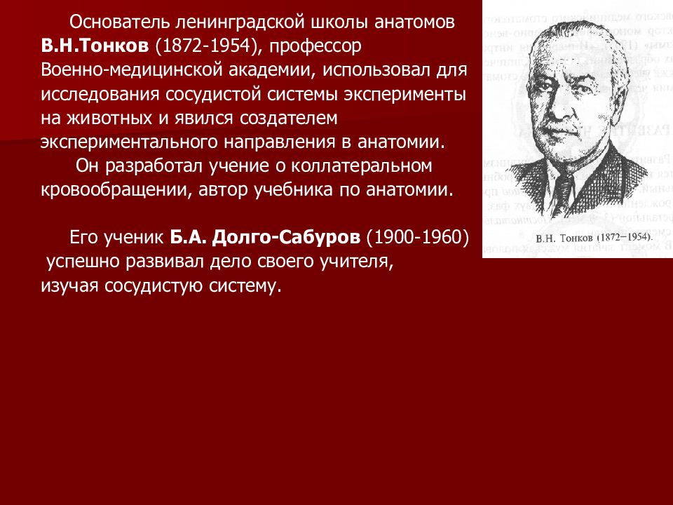 В н тонков вклад в анатомию. Тонков анатом. Владимир Николаевич Тонков (1872-1954) анатом. Иосифов вклад в анатомию.