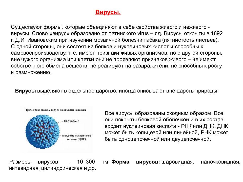 Выделенный вирус. Уровень организации вирусов. Вирусы отдельное царство. Вирус какой уровень организации. Вирус это научное определение.