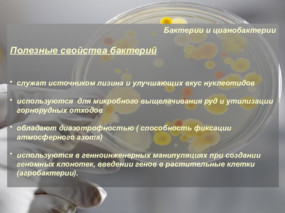 Объекты биотехнологии. Объекты биотехнологии презентация. Предмет биотехнология презентации. Подбор биотехнологических объектов.