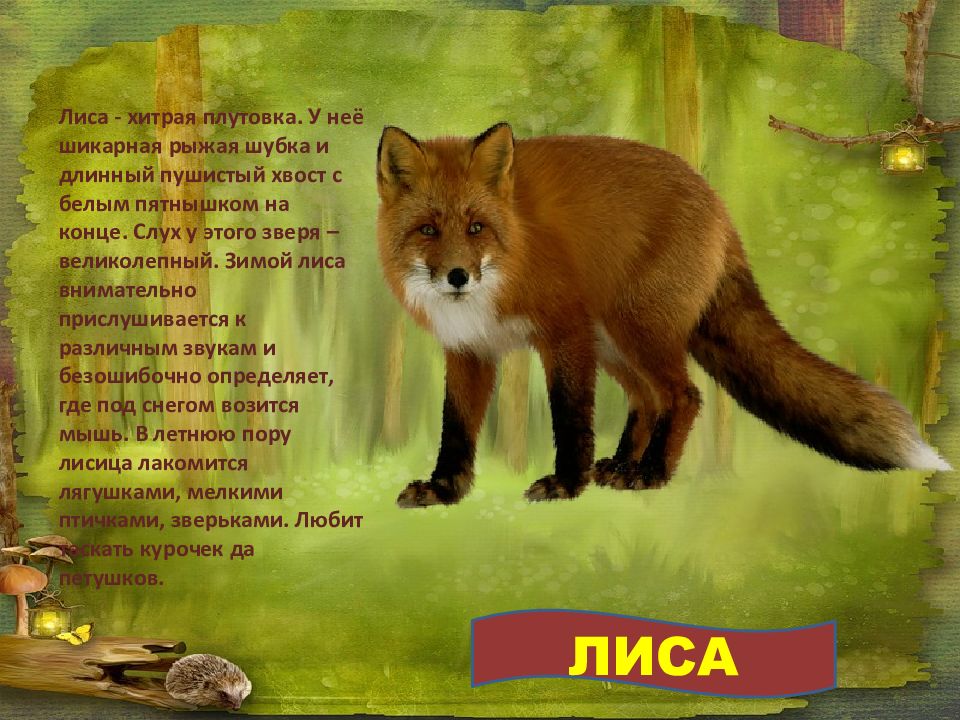 Плутовка это. Лиса хитрая плутовка.