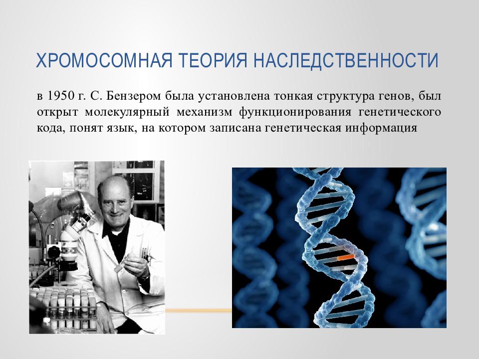 Развитие теории наследственности. Основы наследственности генетика. Основы общей генетики. Хромосомная теория наследственности генетика. Современная генетика.