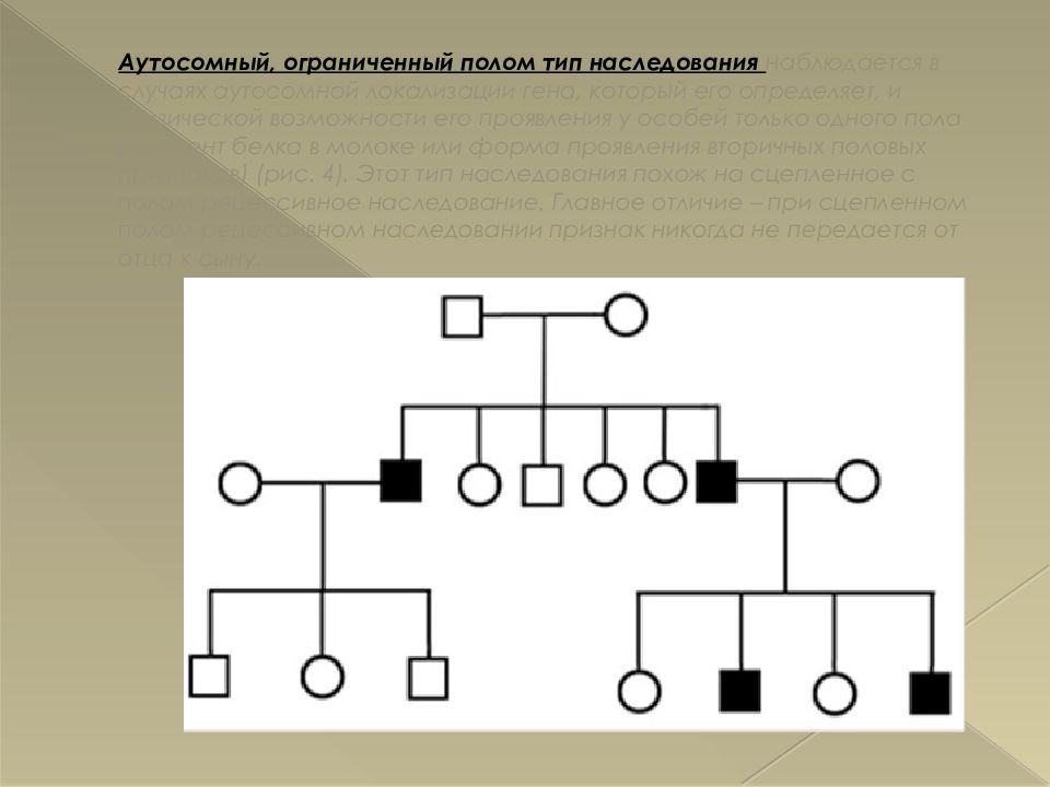 Аутосомный тип. Аутосомный Тип наследования пола. Аутосомно-доминантный моногенный Тип наследования это. Ограниченный полом Тип наследования. Аутосомно доминантный Тип наследования генеалогическое дерево.