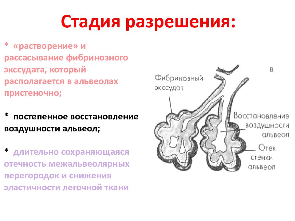 Поствоспалительный генез. Фаза разрешения пневмонии. Пневмония в стадии разрешения. Крупозная пневмония стадия разрешения. Что такое стадия разрешения при пневмонии.