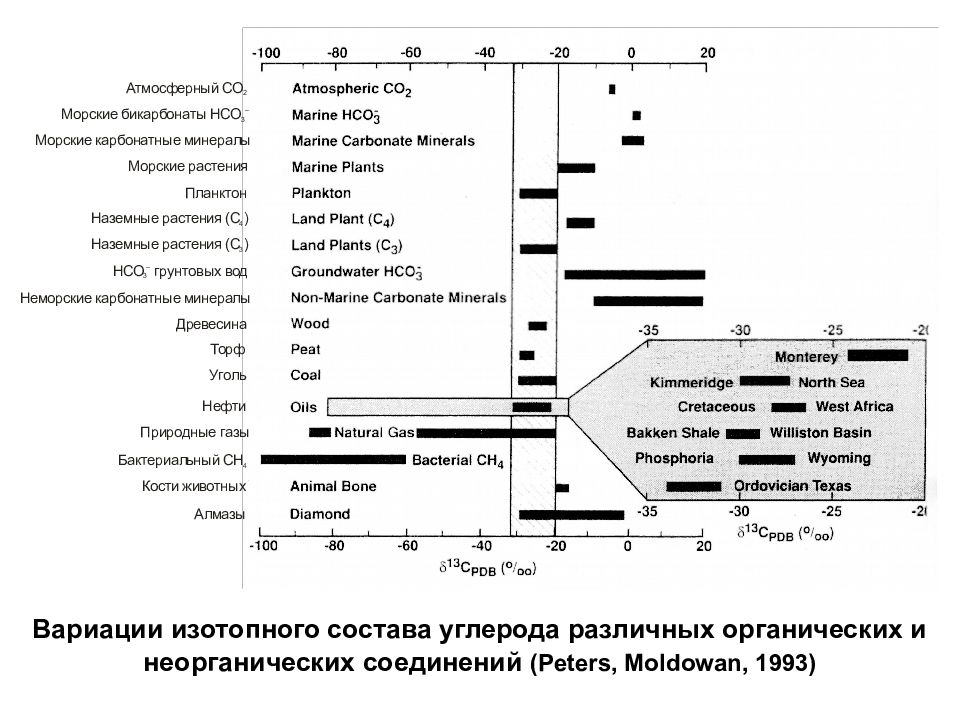 Проводящая зона легких согласно схеме вейбеля продолжается до образований порядка