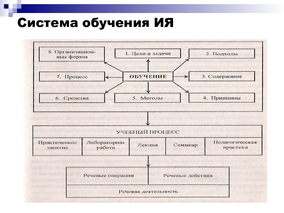 Система языкового образования схема