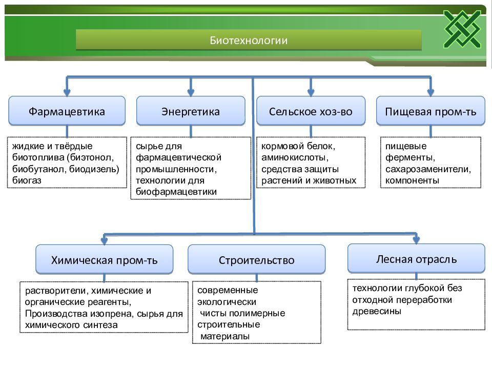 Биотехнология в медицине презентация