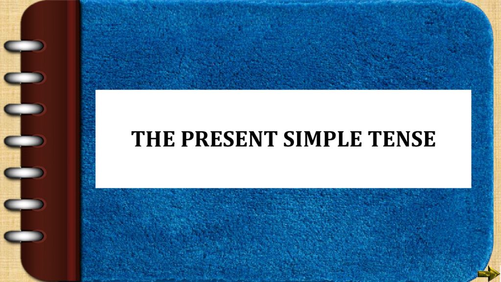 THE PRESENT SIMPLE TENSE