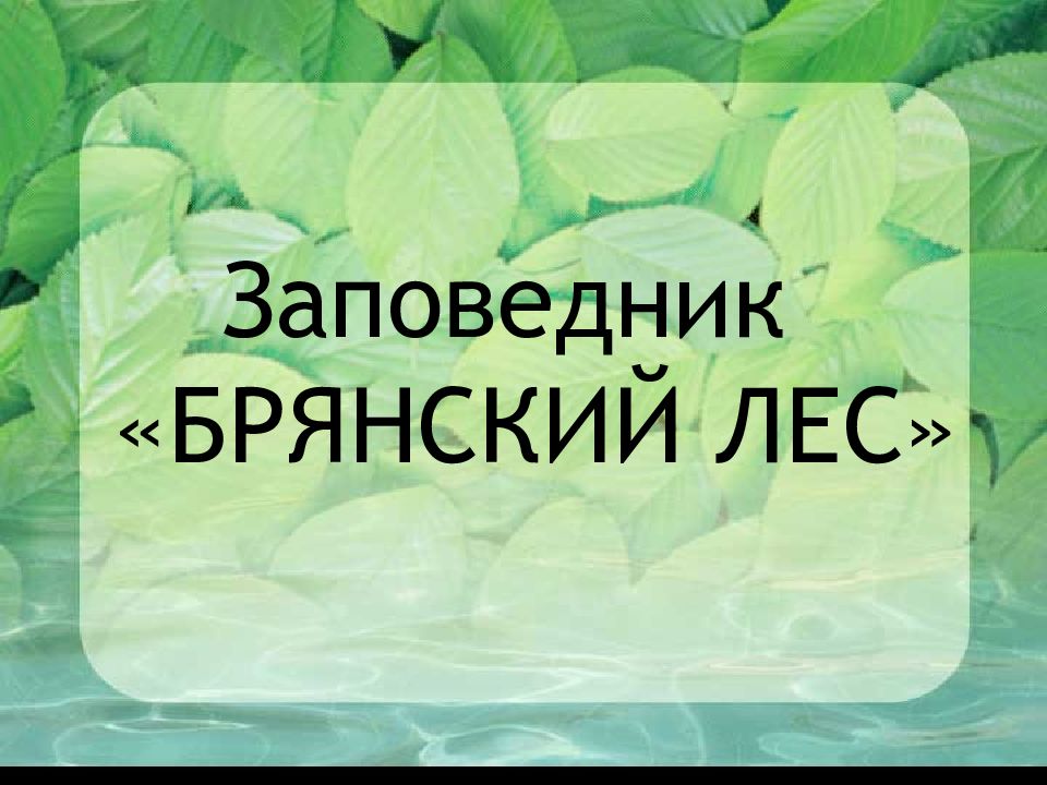 Презентация на тему брянский лес заповедник