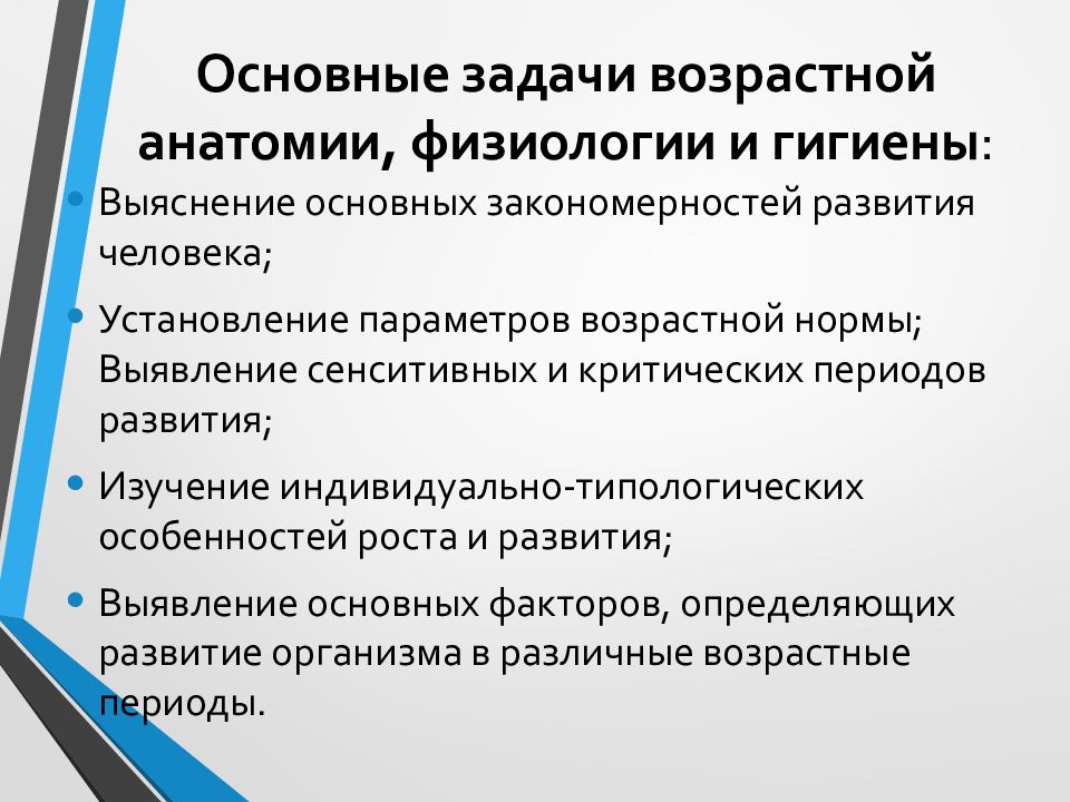 Возрастная анатомия лекция