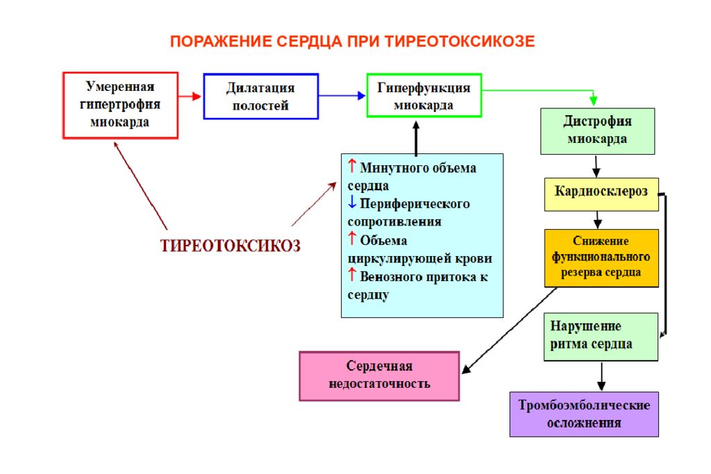 Схема блокируй и замещай при тиреотоксикозе