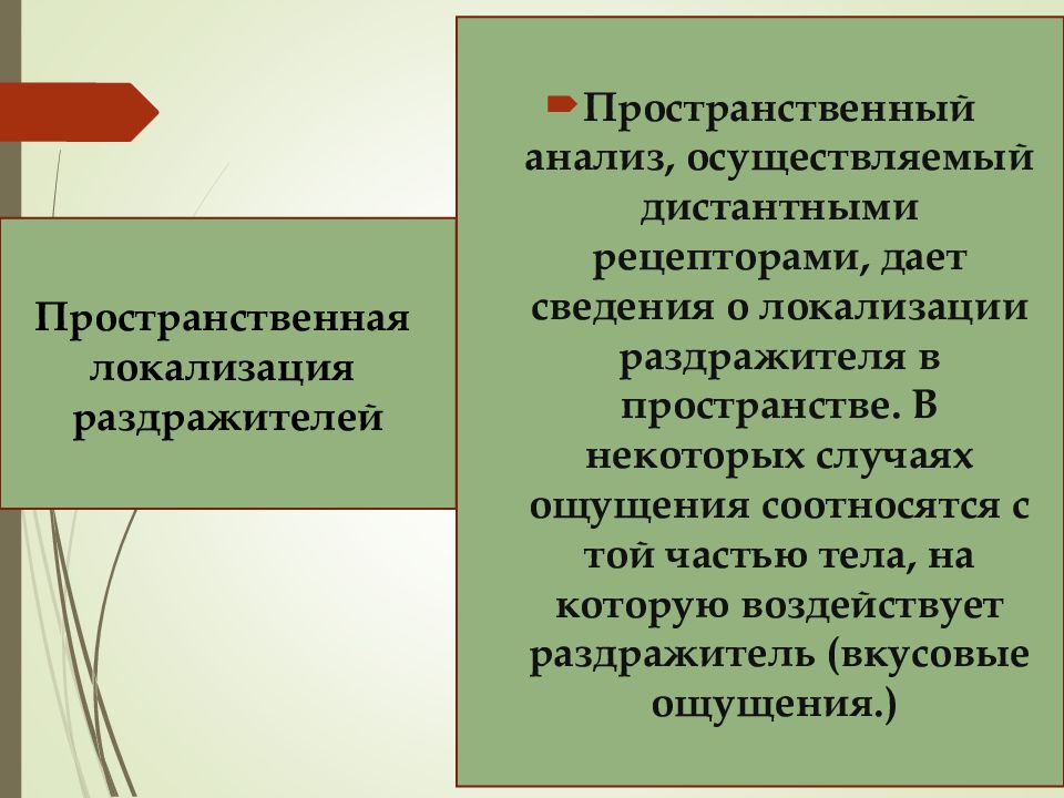 Осуществим анализ. Пространственная локализация раздражителя. Пространственный анализ осуществляемый дистантными рецепторами. Примеры пространственной локализации раздражителя. Пространственная локализация ощущений.