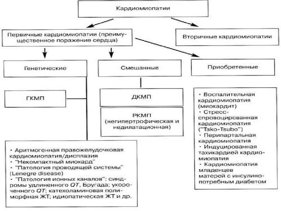 Кардиомиопатии у детей презентация